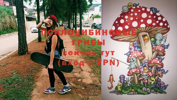 мет Алзамай