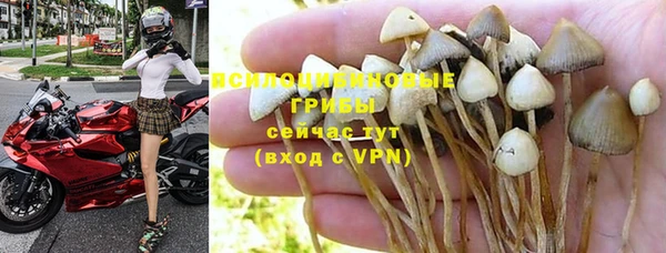 мет Алзамай