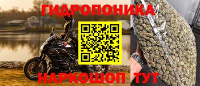 PSILOCYBIN Беслан