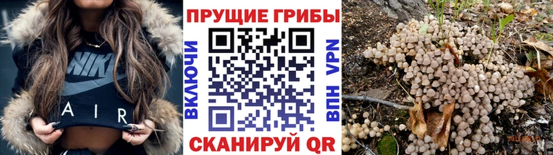 Галлюциногенные грибы Magic Shrooms  что такое наркотик  Воткинск 