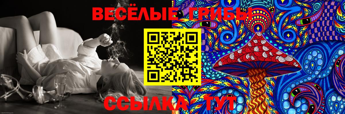 Галлюциногенные грибы Cubensis Воткинск